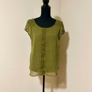 Beautiful sheer blouse